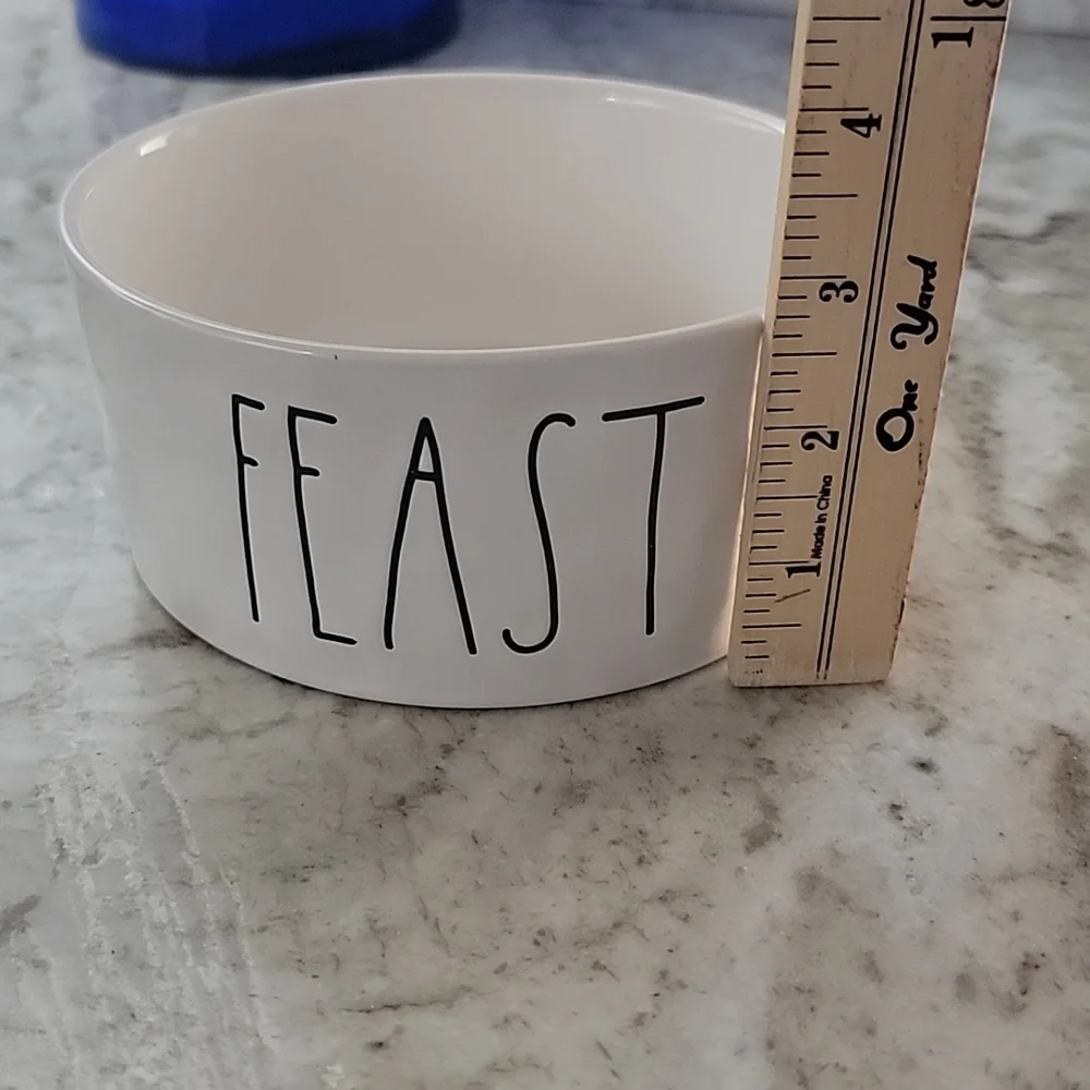 Rae Dunn Artisan Collection FEAST Bowl